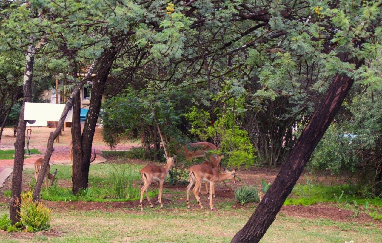 Suzie'S Loft - Nude - Suneden Family Naturist Resort Pretoria-Noord Exteriér fotografie